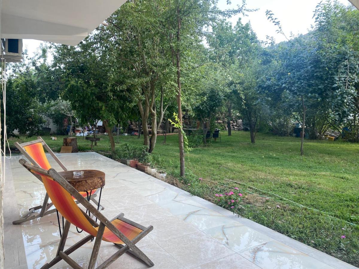 Xho'S Forest Guest House Berat Exteriér fotografie