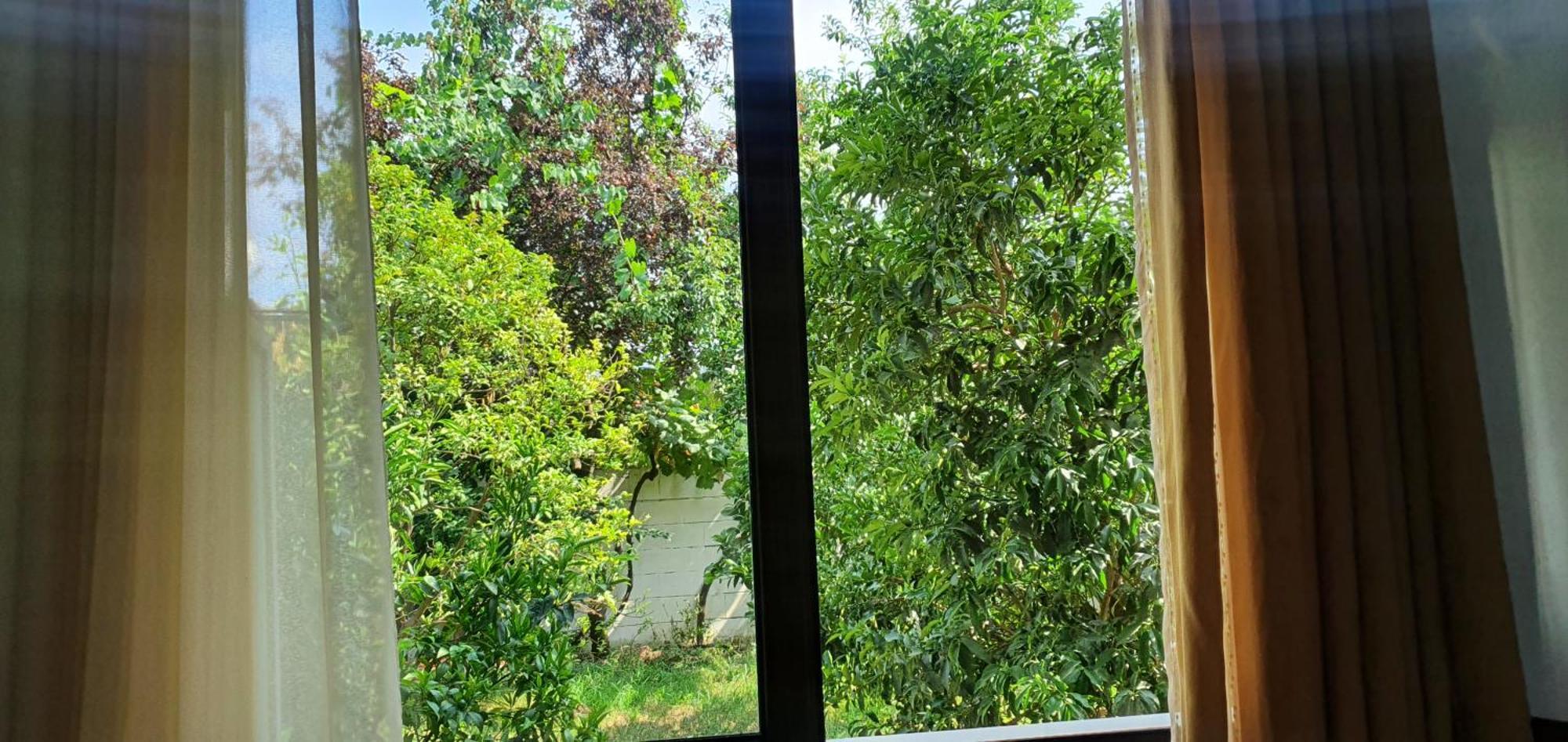Xho'S Forest Guest House Berat Pokoj fotografie